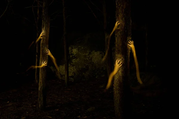 Manos oscuras en la oscuridad del bosque — Foto de Stock