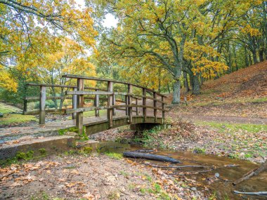 Kestane ormanının ortasındaki dereden geçen tahta köprü.