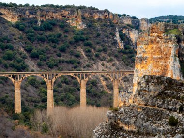 Stone aquaduct in the middle of a forest with large rocks