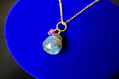 Labrador mavi takı davasında küçük ruby ile birlikte altın kolye.