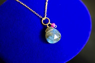 Labrador mavi takı davasında küçük ruby ile birlikte altın kolye.