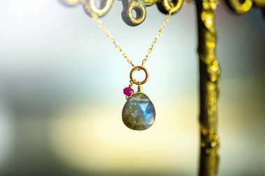 siyah arka plan üzerine küçük yakut ile büyük Labrador ile ile altın kolye.