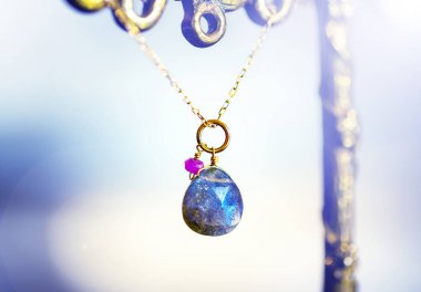 siyah arka plan üzerine küçük yakut ile büyük Labrador ile ile altın kolye.