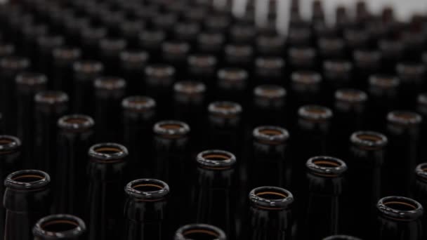 Много бутылок пива на заводе — стоковое видео