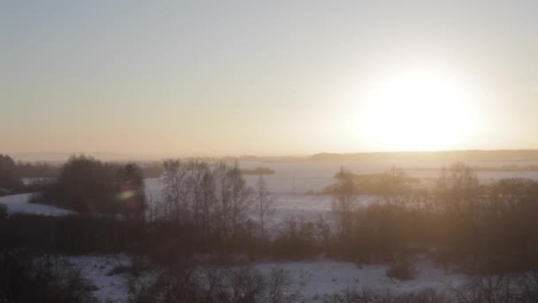 Zimní les při západu slunce — Stock video