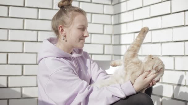 Junges Mädchen spielt mit einem Haustier. Mädchen umarmt und spielt mit der Katze. Wohnkomfort. — Stockvideo