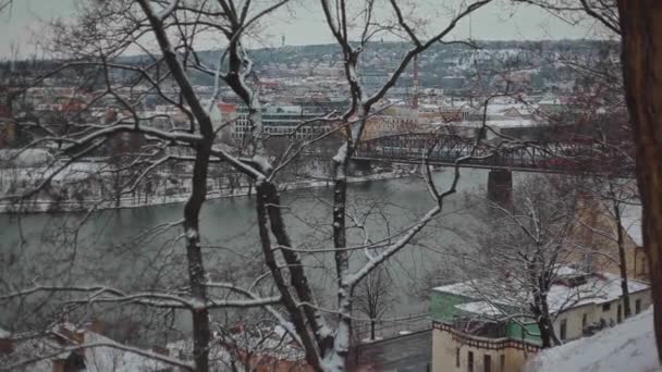 Praga. ponte de trem sobre o rio - cidade com edifícios - natureza. Rees e arbustos. comboio de passagem — Vídeo de Stock