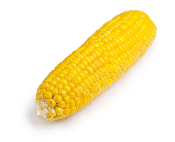 Corn cob isolated — Stock Photo, Image