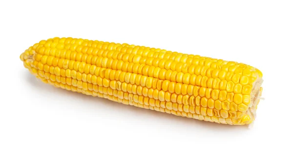 Mazorca de maíz aislada —  Fotos de Stock