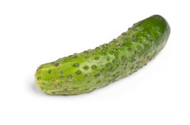 Bir salatalık izole