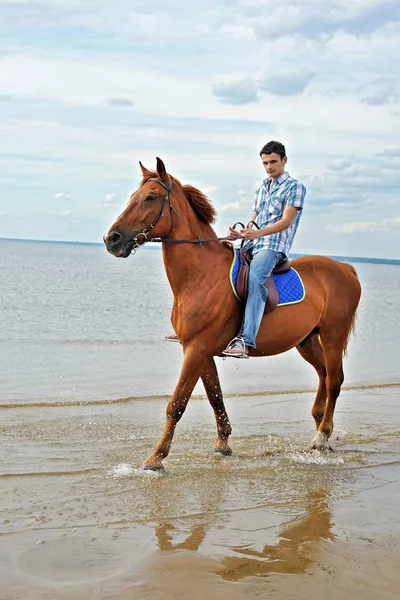 Man riding a horse — Stock Photo, Image