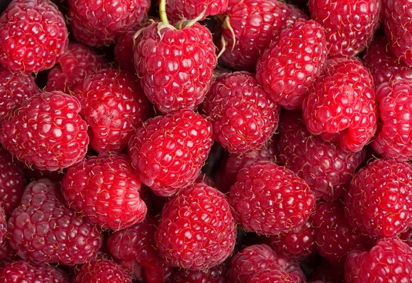 Group of fresh raspberries — Stock Photo, Image