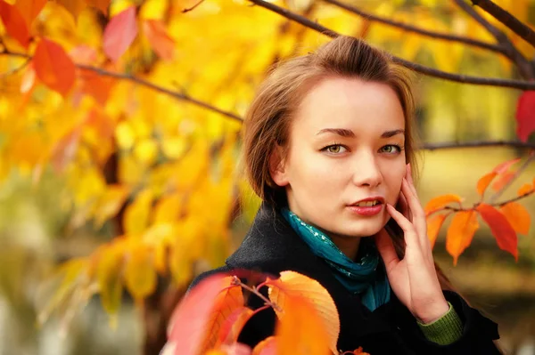 Sonbahar güzel kadın portresi — Stok fotoğraf