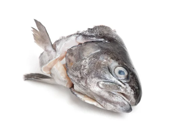Рыба-форель — стоковое фото