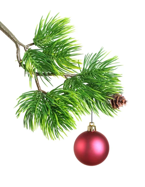 전나무에 크리스마스 장난감 — 스톡 사진
