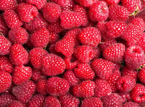 Taze ahududu arka planı