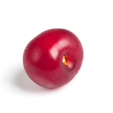 Kiraz berry izole
