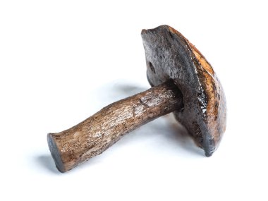 kahverengi kap çörek