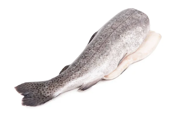 全焼トラウト魚 — ストック写真