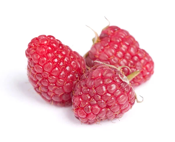 Few raspberries isolated — Stock Photo, Image