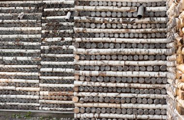 Duvarı günlükleri