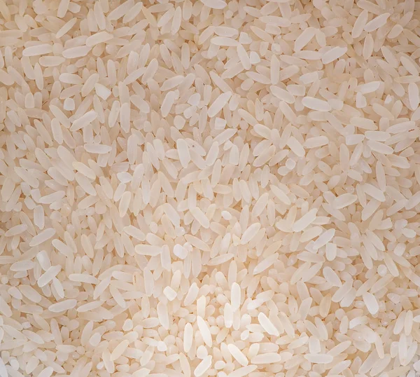 Uncooked organic brown rice — Stock Photo, Image