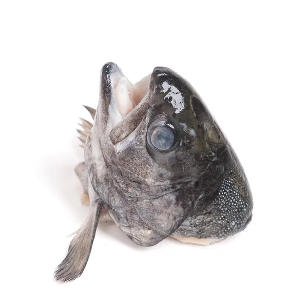 Head of trout fish — Stock Photo, Image