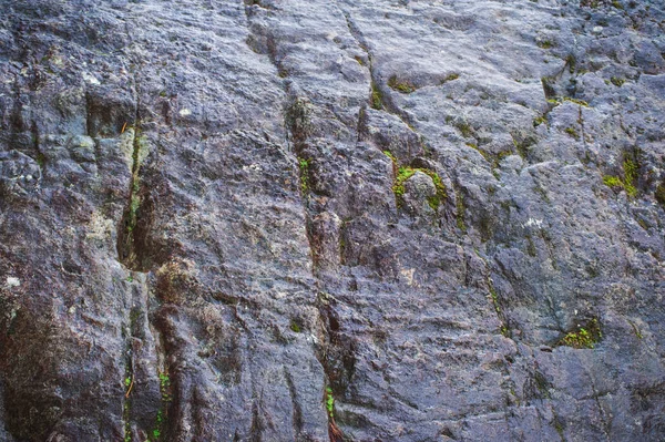 ぬれた石のテクスチャ — ストック写真