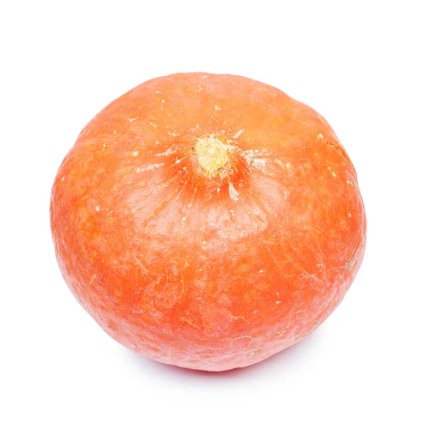 One pumpkin isolated — Stock Photo, Image