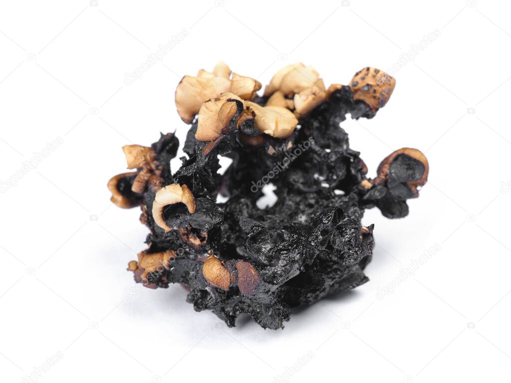 Burnt popcorn kernel