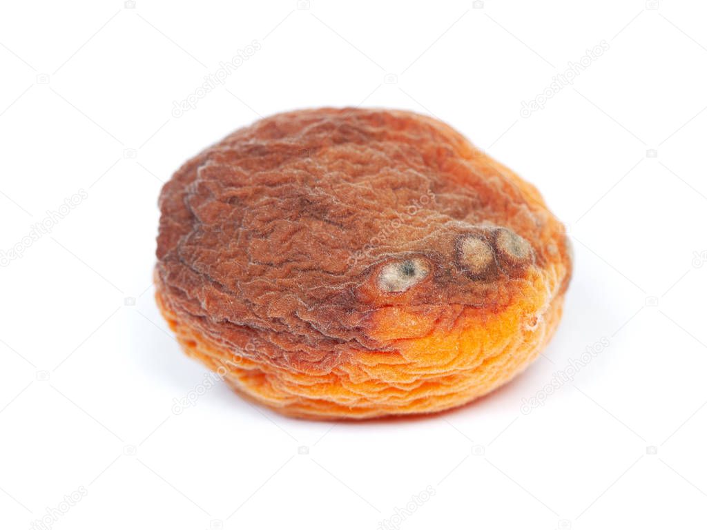 One rotten apricot