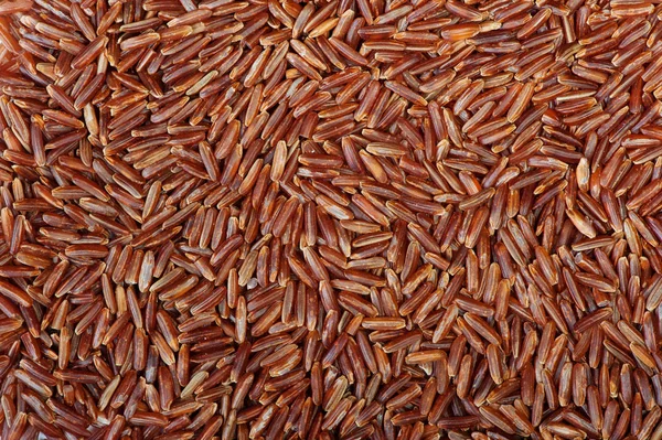 Povrch pokrytý rýží — Stock fotografie