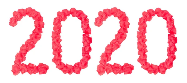 Rose petals as number — Stock Photo, Image