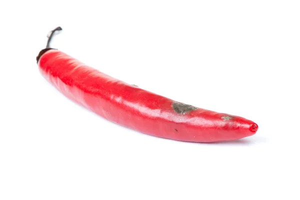 Röd het rutten peppar — Stockfoto