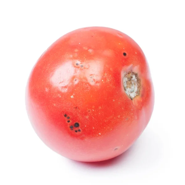 Verdorbene Tomaten isoliert — Stockfoto
