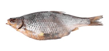 Çürümüş balık.