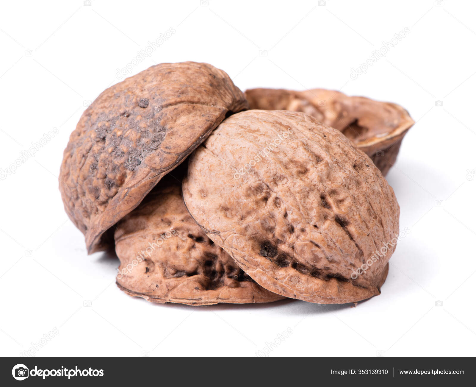 Empty Walnut Shell