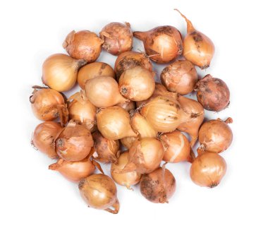 Beyaz arkaplanda izole edilmiş soğan yığını