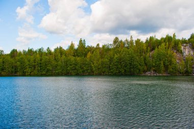 Gölün ötesinde küçük dalgalarla dolu bir orman