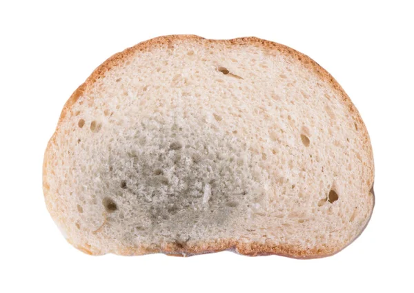 Κομμάτι Μουχλιασμένο Ψωμί Απομονωμένο Λευκό Φόντο — Φωτογραφία Αρχείου