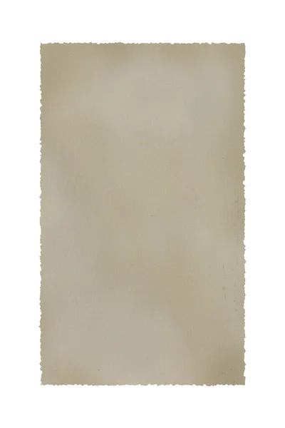 Papyrus Isolated White Background — Stock Photo, Image
