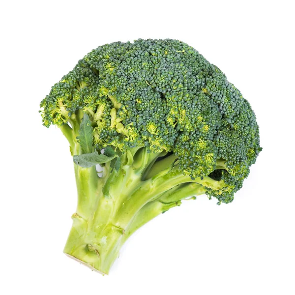 Fresh Broccoli Closeup Isolated White Background — Stock Photo, Image