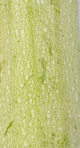 Macro Shot Consistenza Midollo Verde Vegetale Zucchine — Foto Stock
