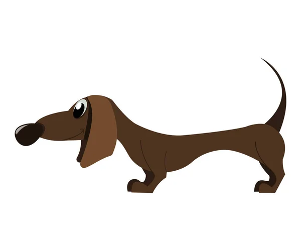 Cartoon dachshund — Stock Vector