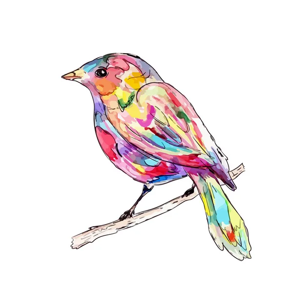 Птица на ветке. акварель — стоковый вектор