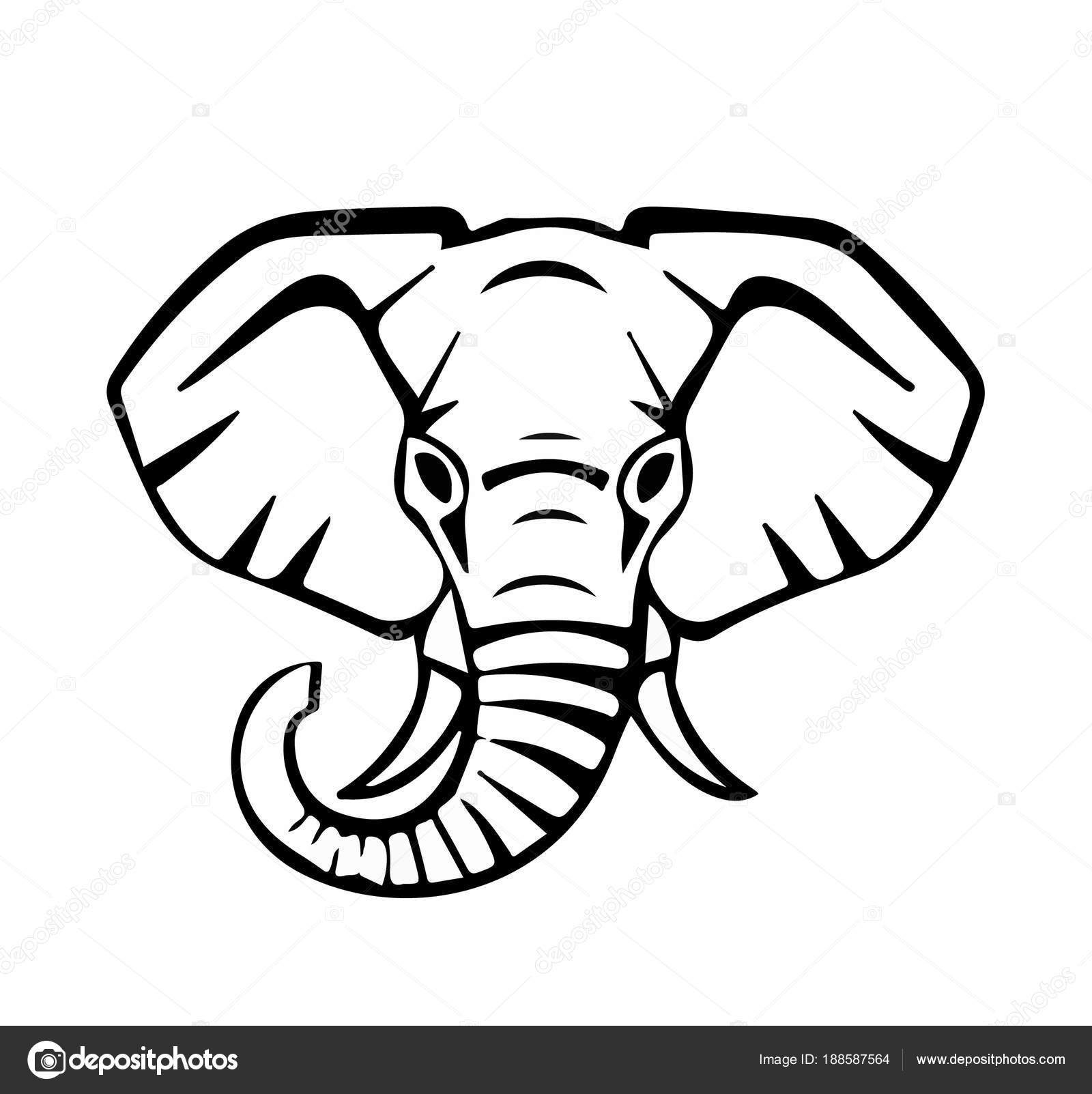 Cabeça de um elefante, linhas pretas, vetor Vetor de ©A.Nestr 188587564, image size:1600x1603