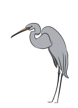 Heron renk, vektör