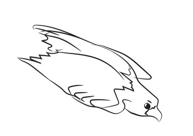 sinekler grafik hat Kartal, vektör