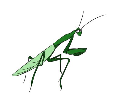 Mantis renk. vektör