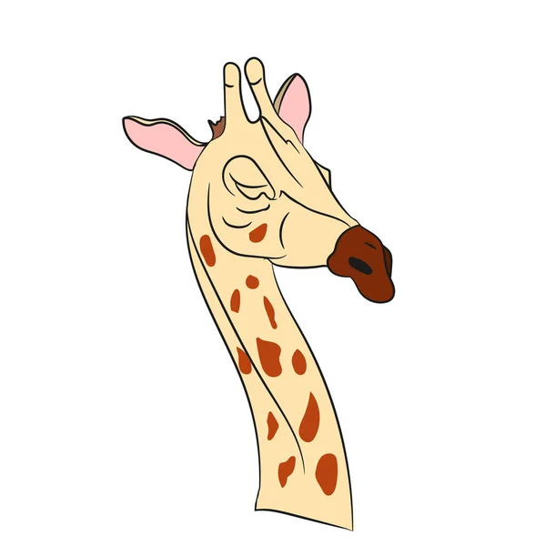Girafa cabeça cor, vetor — Vetor de Stock